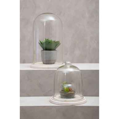 Jain Bell Jar with Knob Handle