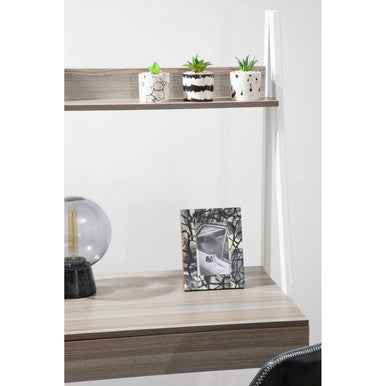 Mimo Set Of 3 White And Black Succulents