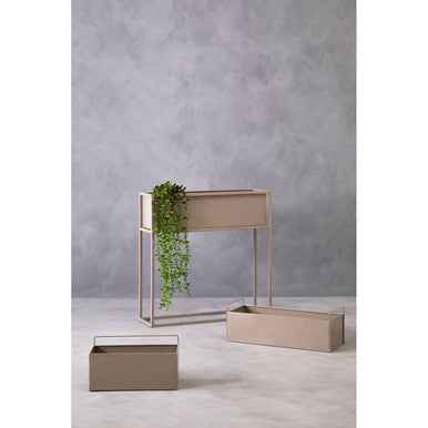Asher Grey Box Large Wall Plant