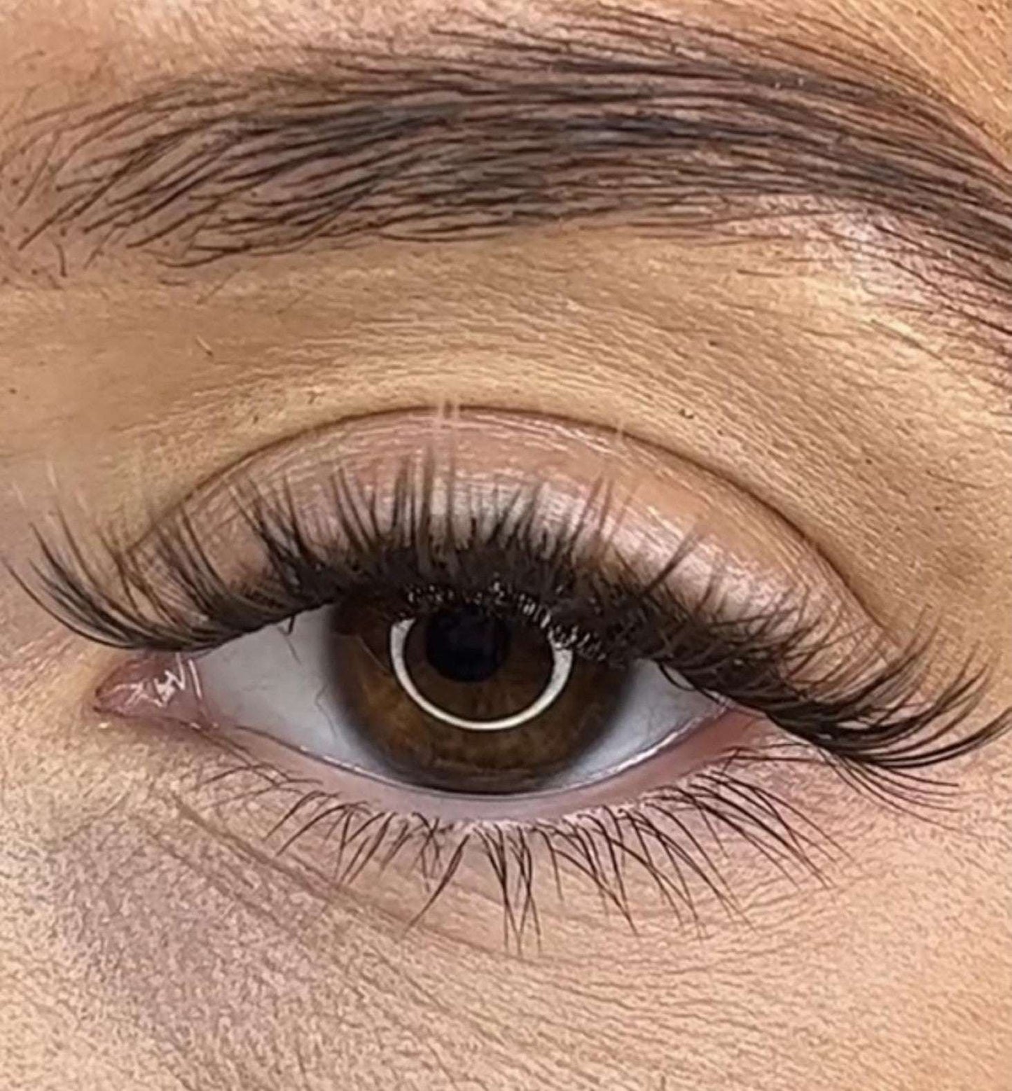 Niamh - 3D Black/Brown 'C' Curl Lash Ribbons®
