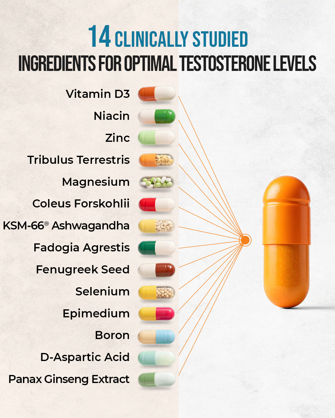 Betterman Natural T - Supplement