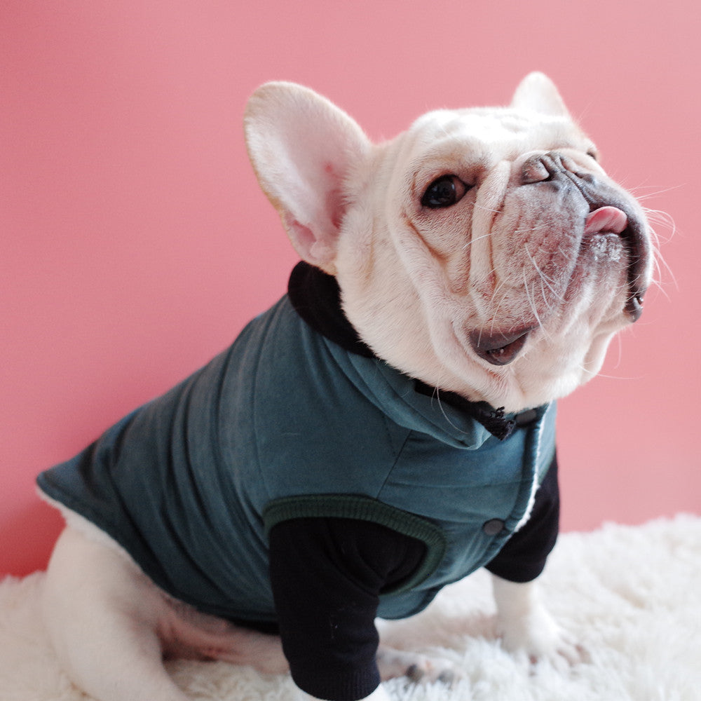 Pet Clothes, Dog Winter Clothes, Thickened Plus Velvet Vest, Warm Cotton Coat, Schnauzer