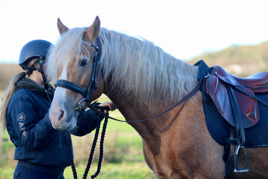 Grass Reins