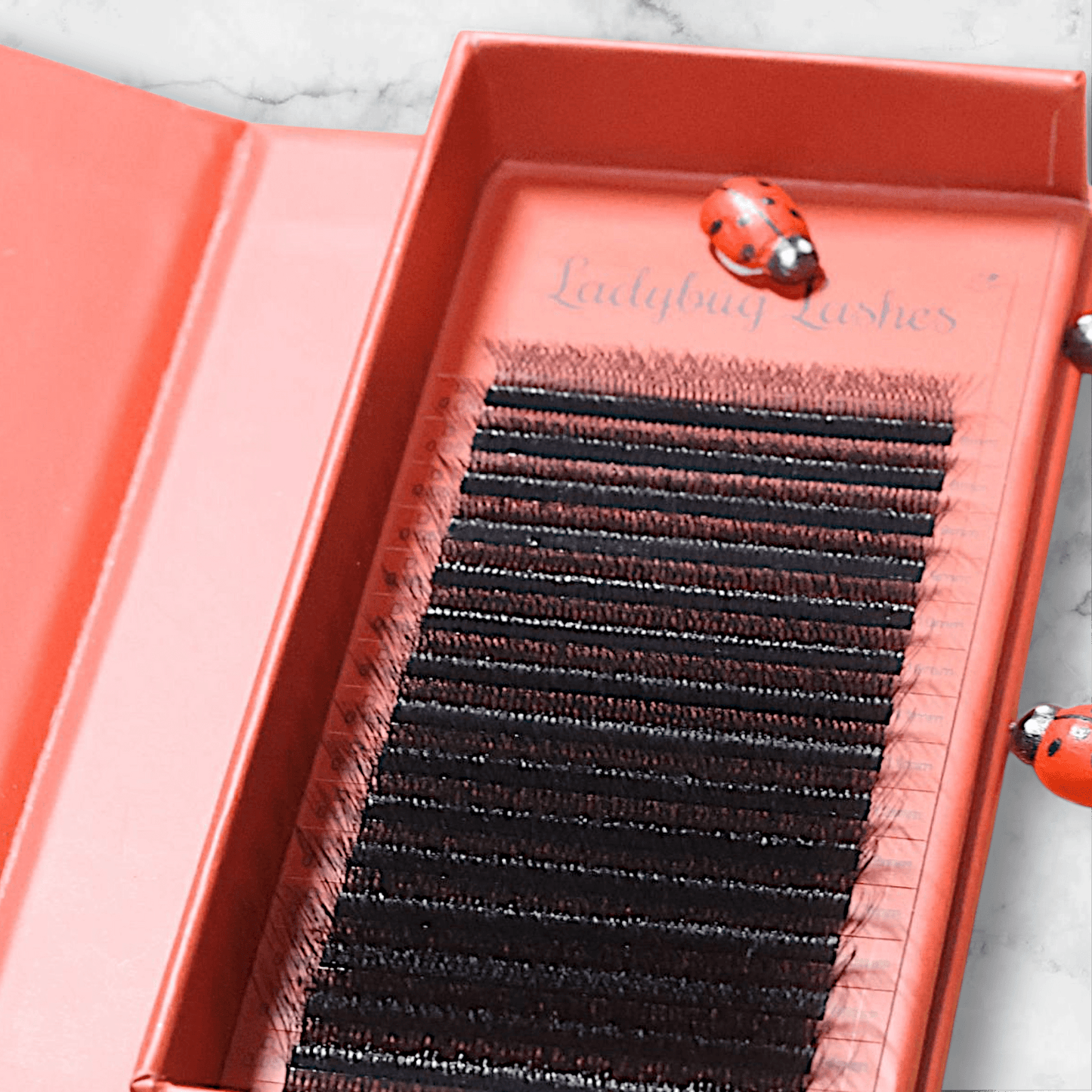 8D Clover Lash Mixed Tray