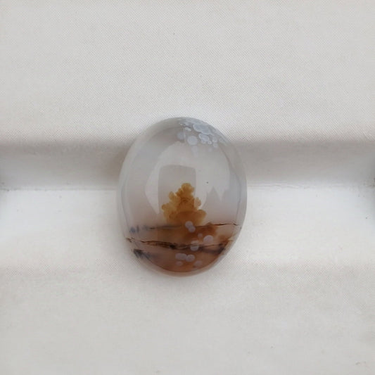 5.2ct Natural Dendritic Agate - Shajri Aqeeq -11x13mm