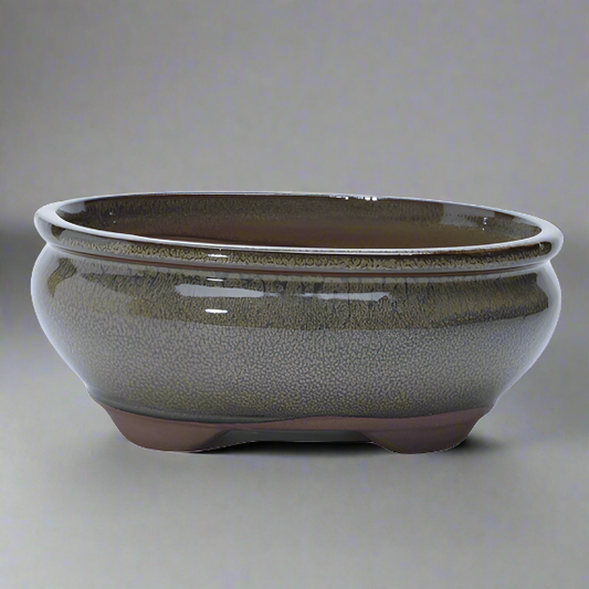 18cm Glazed Bonsai Pot | Oval | 18cm x 15cm x 6cm | Green