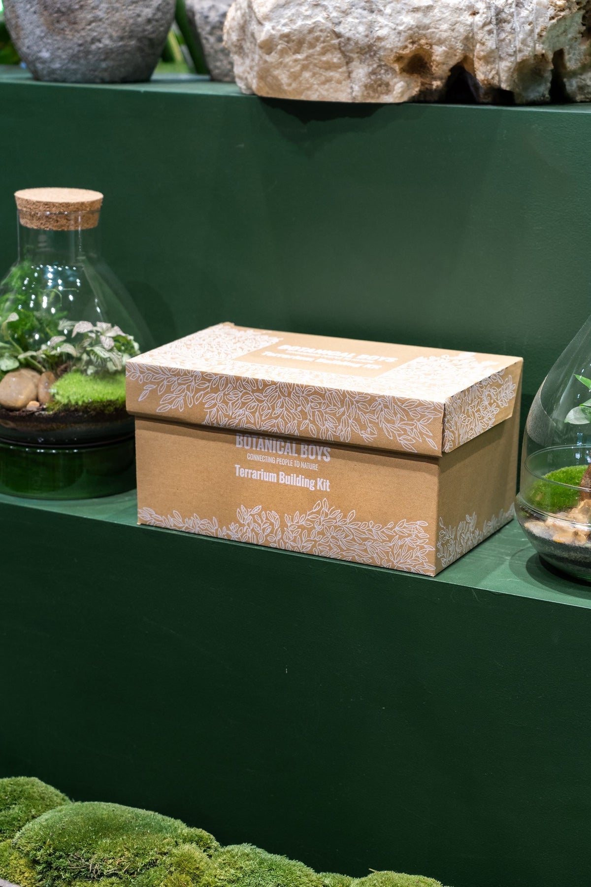 Terrarium Kit ingredients - Large- No glass