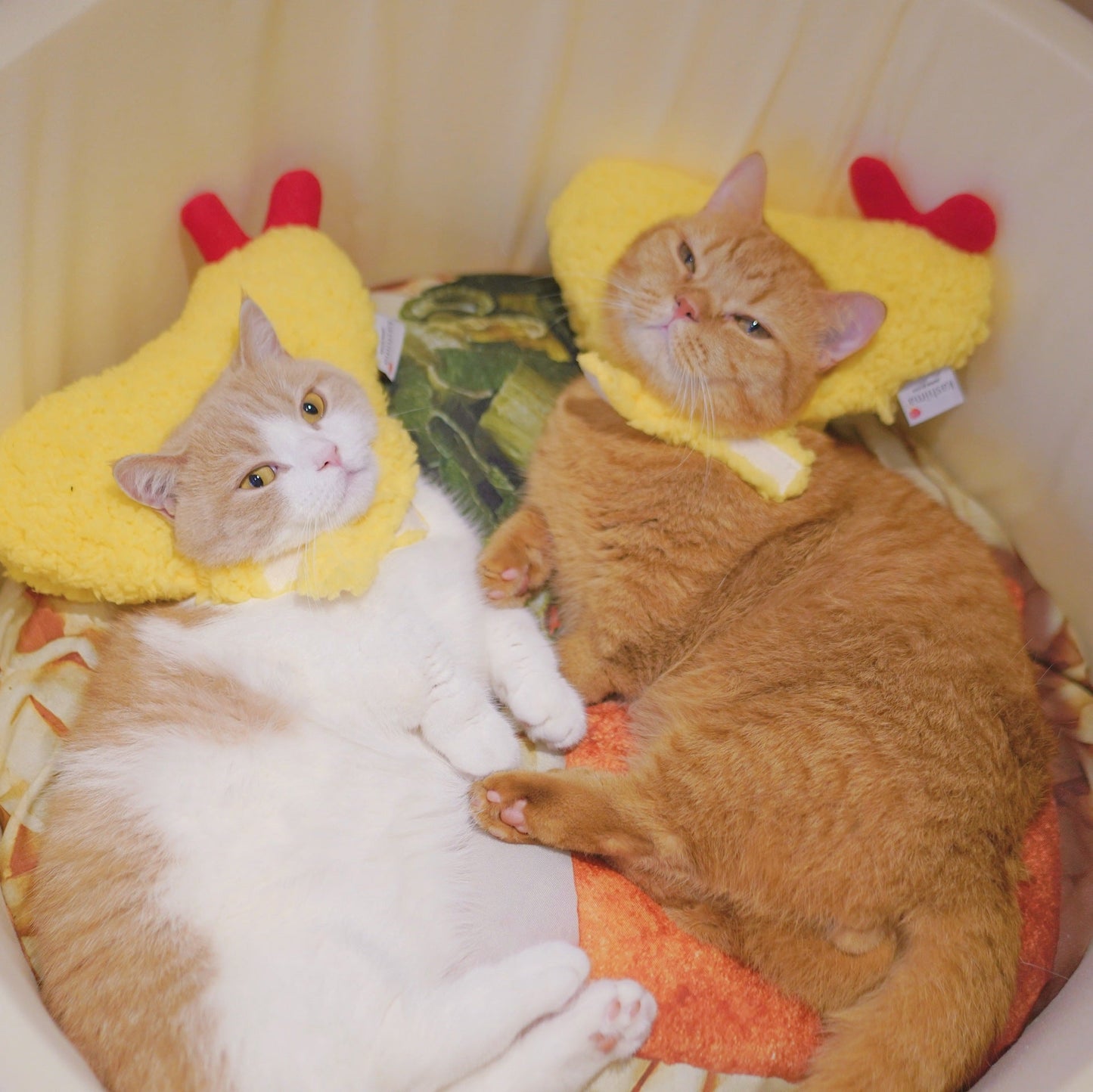Tempura hat fried shrimp headgear