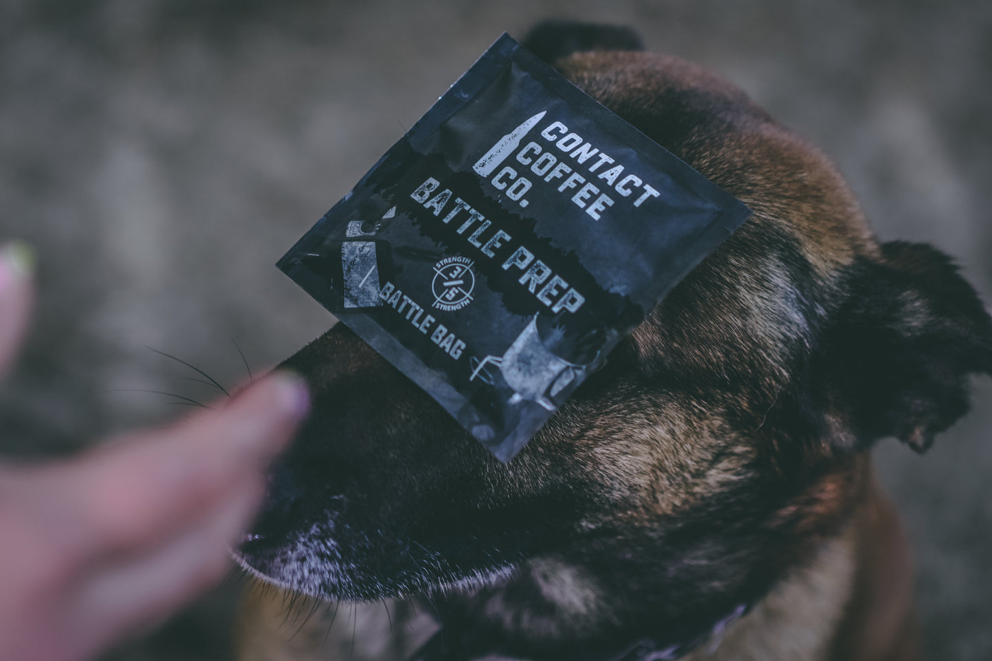 Single Serve Coffee Brew Bags 100 pack | Battle Prep