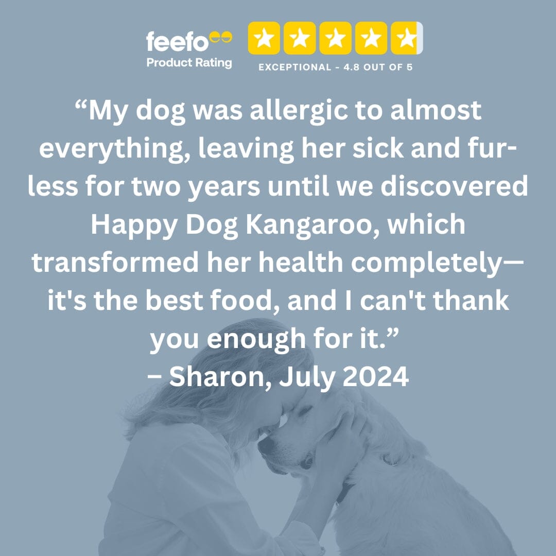 Pure Kangaroo Wet Dog Food (Australia)