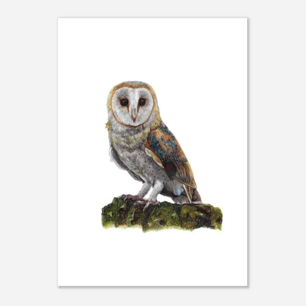 Barn Owl Original Artwork Print – Hand-Drawn Wildlife Wall Art (A4)