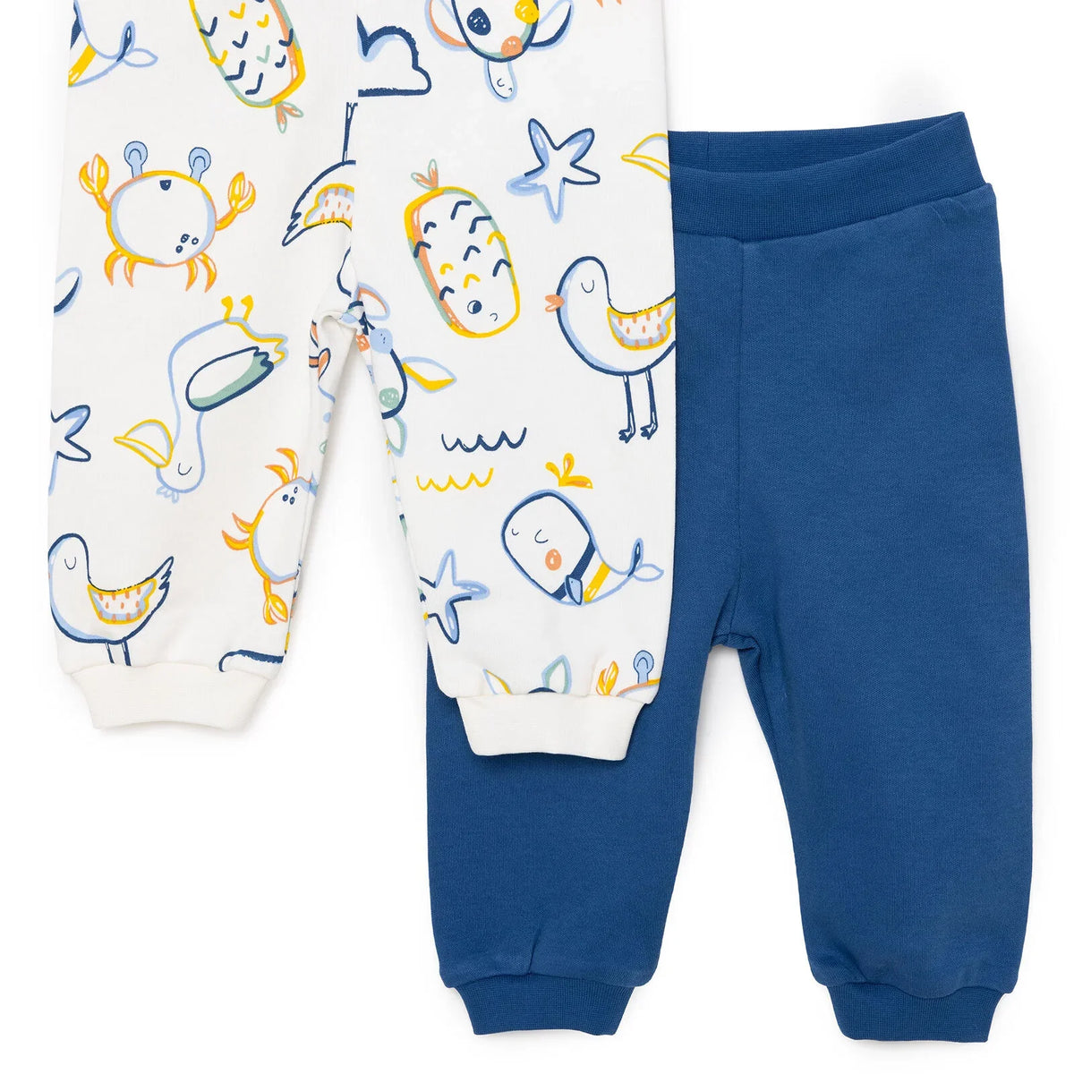 HelloBaby 2 Pack Turtle Motif Footless Interlock Baby Bottoms (6 Months to 4 Years)