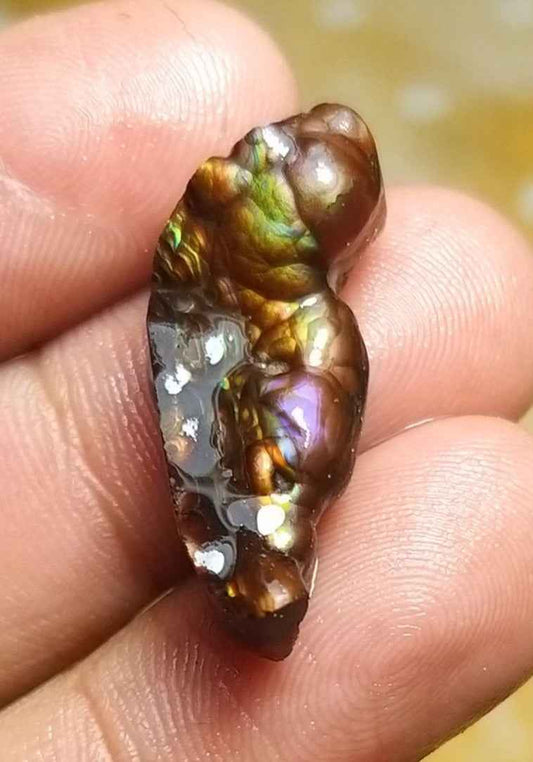 14.7ct Best Color Combination Fire Agate , Polished Fire Agate, Rare Fire agate - Fire Agate For Pendant - Dimensions- 28x11mm