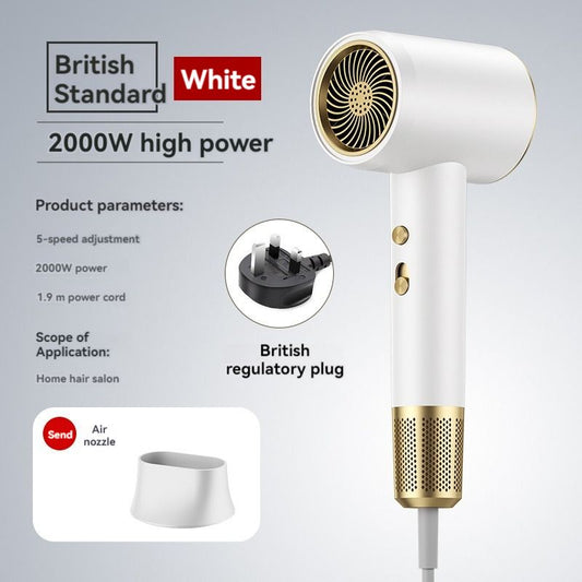 Electric Hair Dryer For Household Use