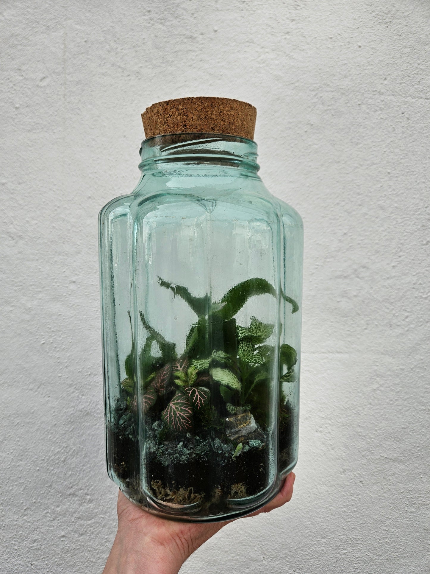 Vintage Blue Bubble Glass Terrarium