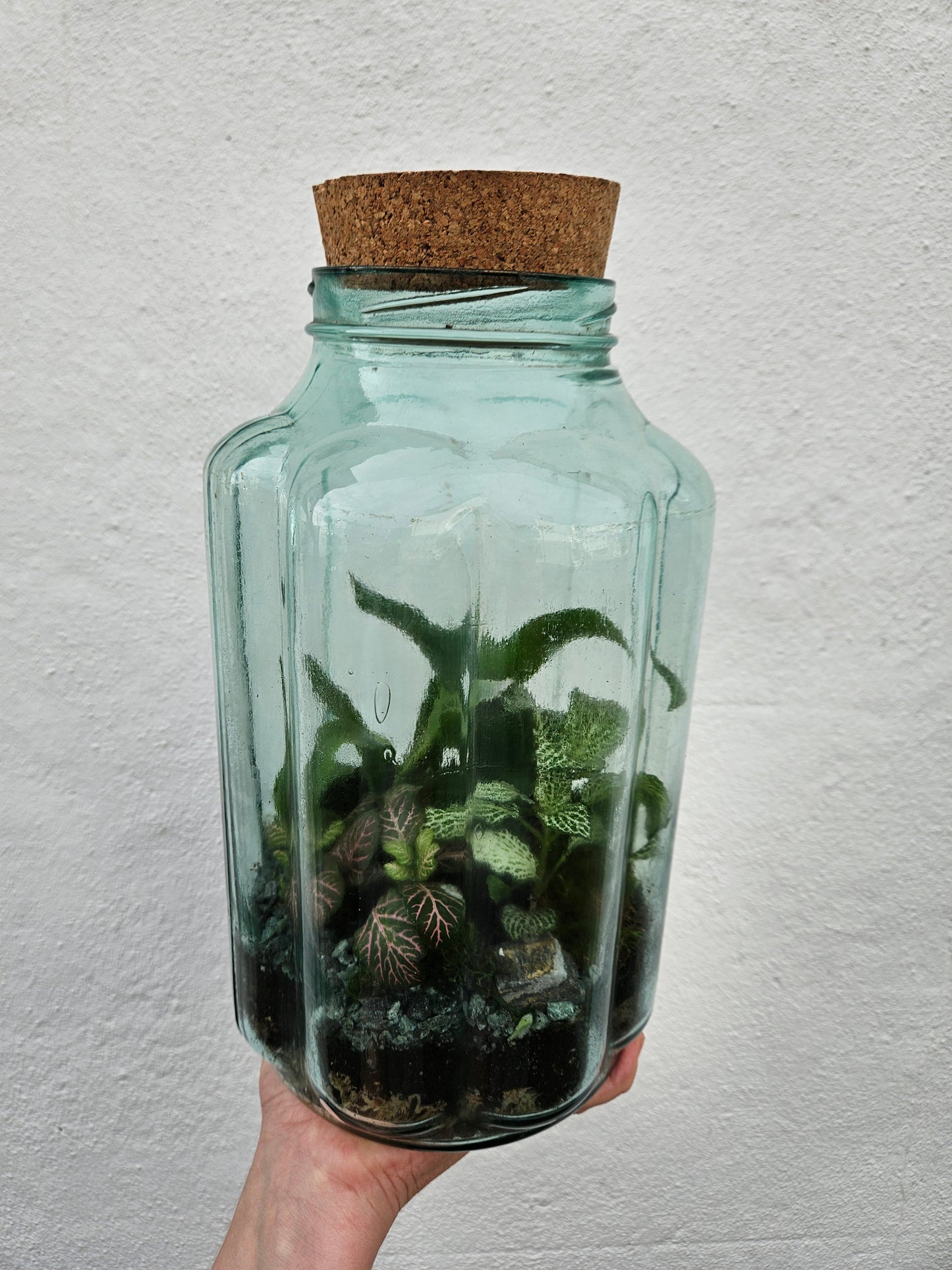 Vintage Blue Bubble Glass Terrarium