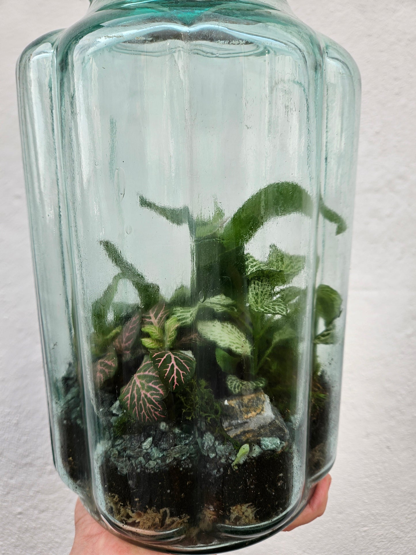 Vintage Blue Bubble Glass Terrarium