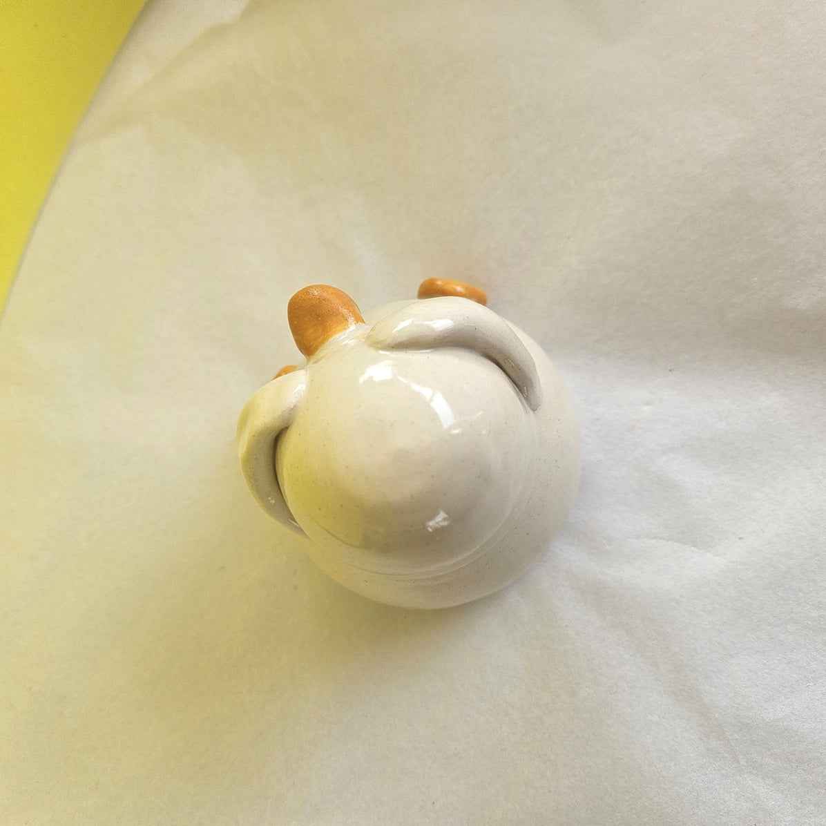 Guy the Shy - Hiding Duck