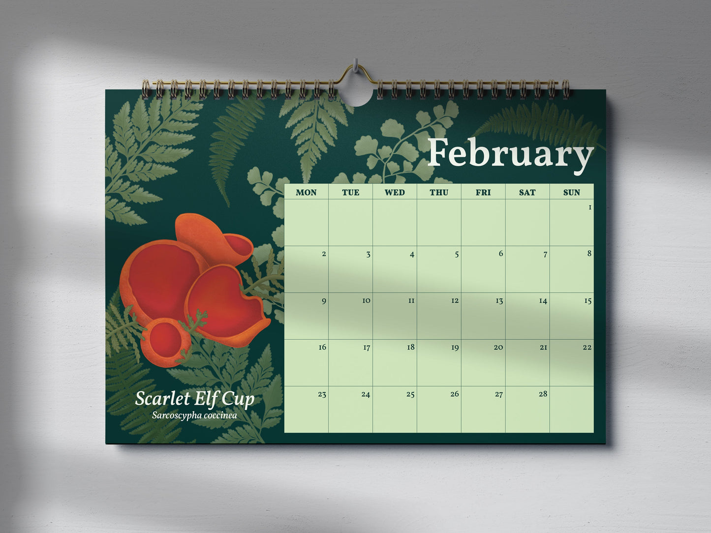 2026 Mushroom Wall Calendar