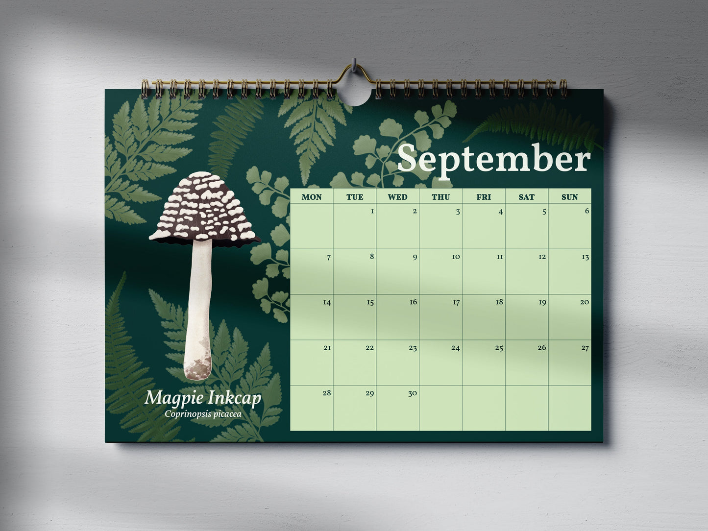 2026 Mushroom Wall Calendar