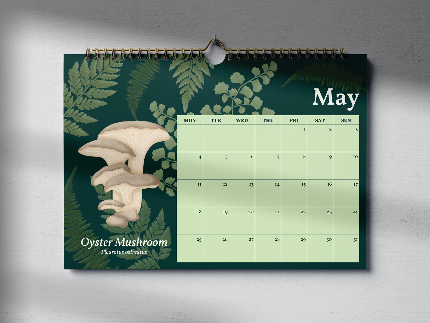 2026 Mushroom Wall Calendar