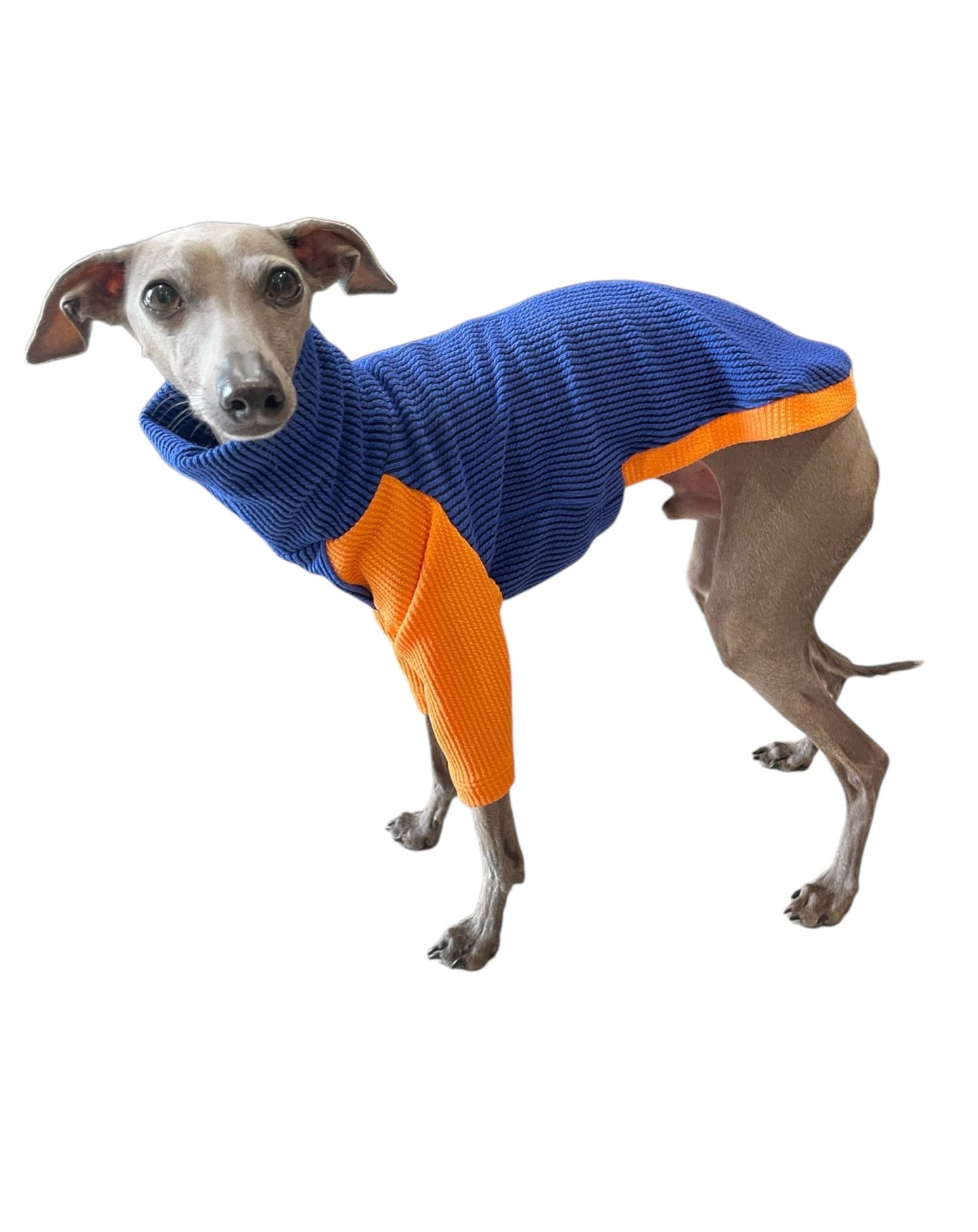 Ribbed Jersey T-Shirt - Orangina