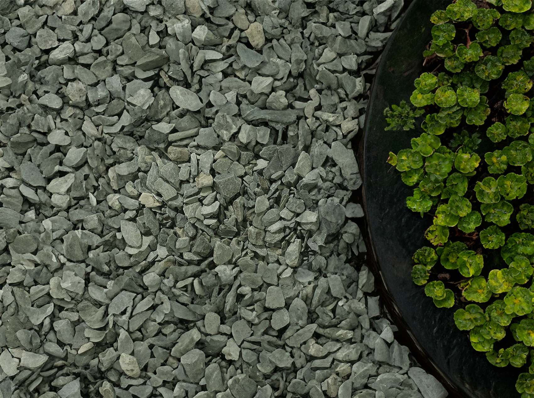 20mm Green Slate Chippings