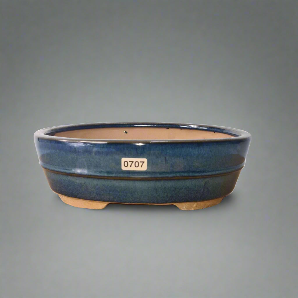 22cm Glazed Bonsai Pot | Oval | 22cm x 16cm x 7cm | Blue