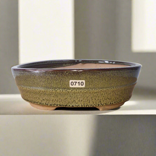 22cm Glazed Bonsai Pot | Oval | 22cm x 16cm x 7cm | Green