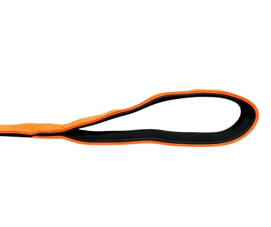 BTactical™ Extra-Strong Nylon Carabiner Clip Dog Lead | Citrus Orange