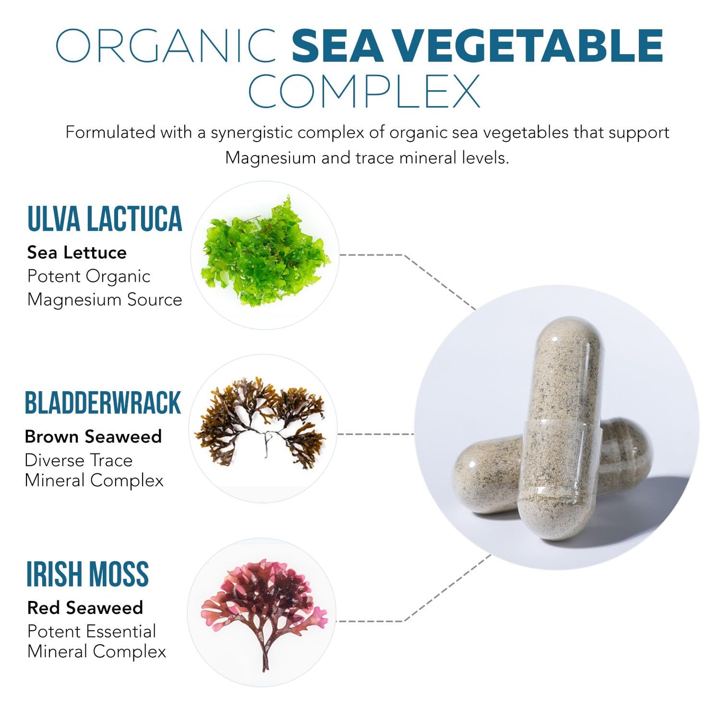 Organic Whole Food Magnesium Supplement - Plant-Based Sea Vegetable Complex, 250 mg per Serving | 60 Capsules