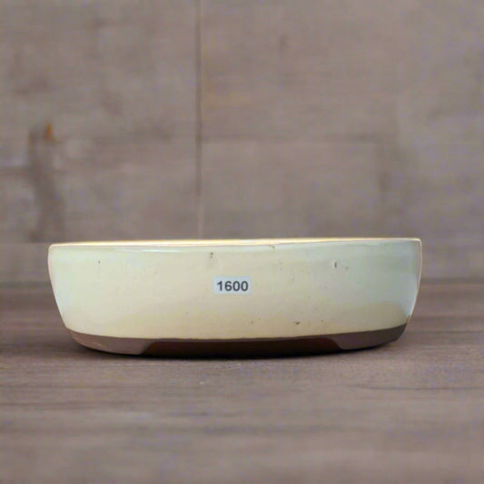 26cm Glazed Bonsai Pot | Oval | 26cm x 22cm x 6.5cm | White