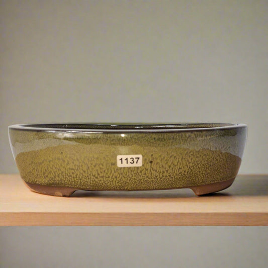 26cm Glazed Bonsai Pot | Oval | 26cm x 22cm x 6cm | Green