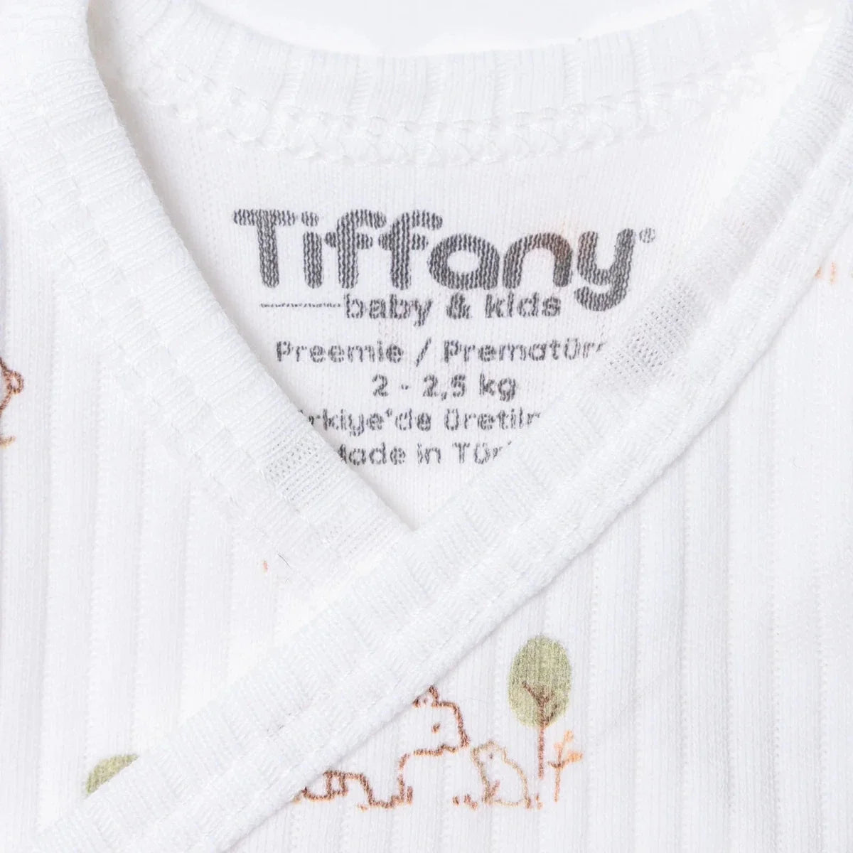 Tiffany Bear Motif Premature Baby Hospital Bag Set (Premature)