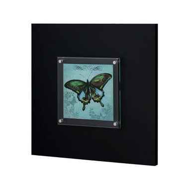 Butterfly 1 Framed Wall Art