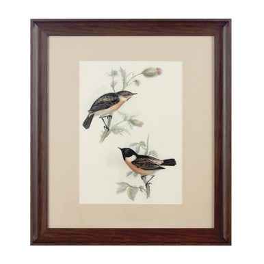 Framed Birds 2 Wall Art