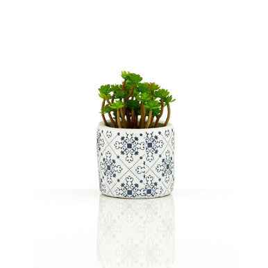 Fiori Set of 3 Succulents in Henna Ceramic Pots