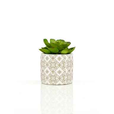 Fiori Set of 3 Succulents in Henna Ceramic Pots