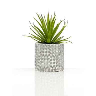 Fiori Set of 3 Succulents in Henna Ceramic Pots