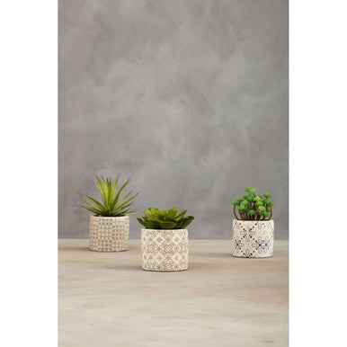 Fiori Set of 3 Succulents in Henna Ceramic Pots