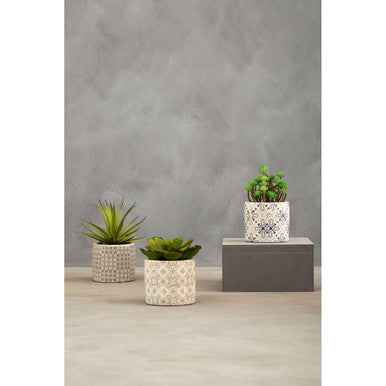 Fiori Set of 3 Succulents in Henna Ceramic Pots