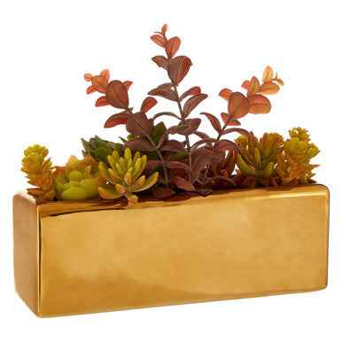 Fiori Mixed Succulents with Ceramic Gold Pot