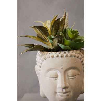 Fiori Buddha Pot Mixed Succulent