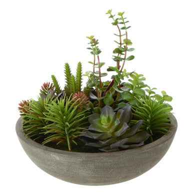 Fiori Mixed Succulent With Stone Effect Pot