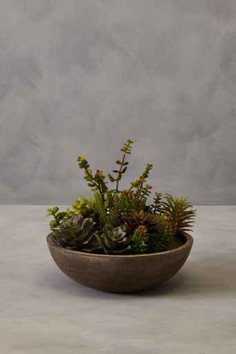 Fiori Mixed Succulent With Stone Effect Pot