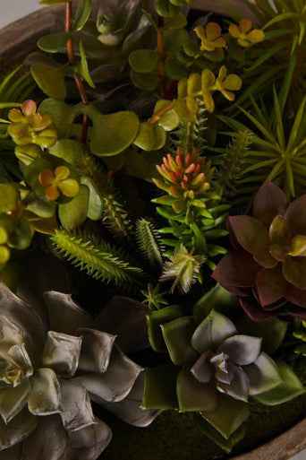 Fiori Mixed Succulent With Stone Effect Pot