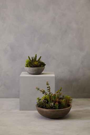 Fiori Mixed Succulent With Stone Effect Pot