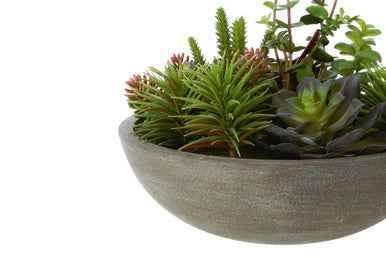 Fiori Mixed Succulent With Stone Effect Pot