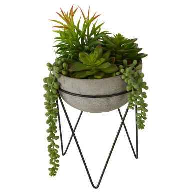 Fiori Mixed Succulent with Metal Stand