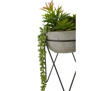 Fiori Mixed Succulent with Metal Stand